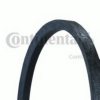 MAN 06580721542 V-Belt